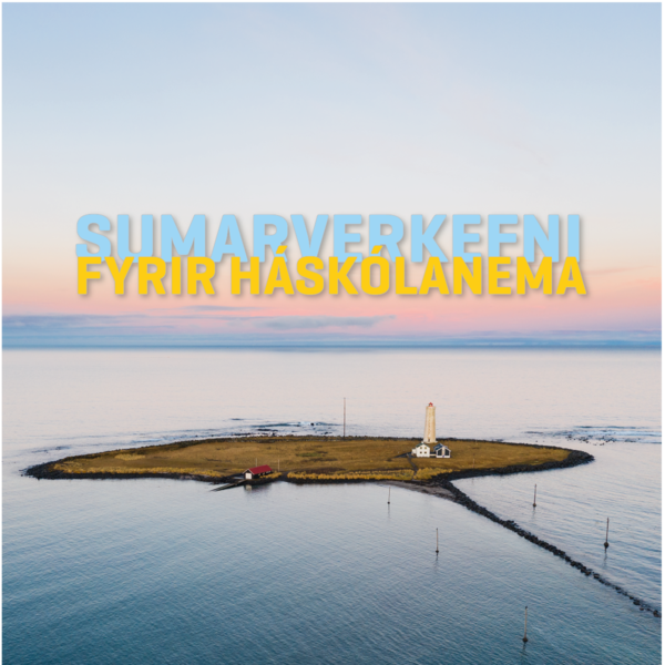 Mynd-sumarverkefni-2020