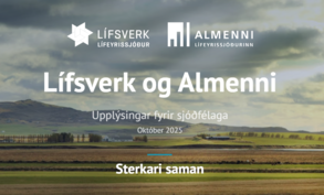 Skjamynd-2025-10-20-130108