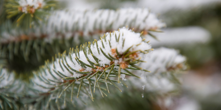 Untitled-design_1764251197690