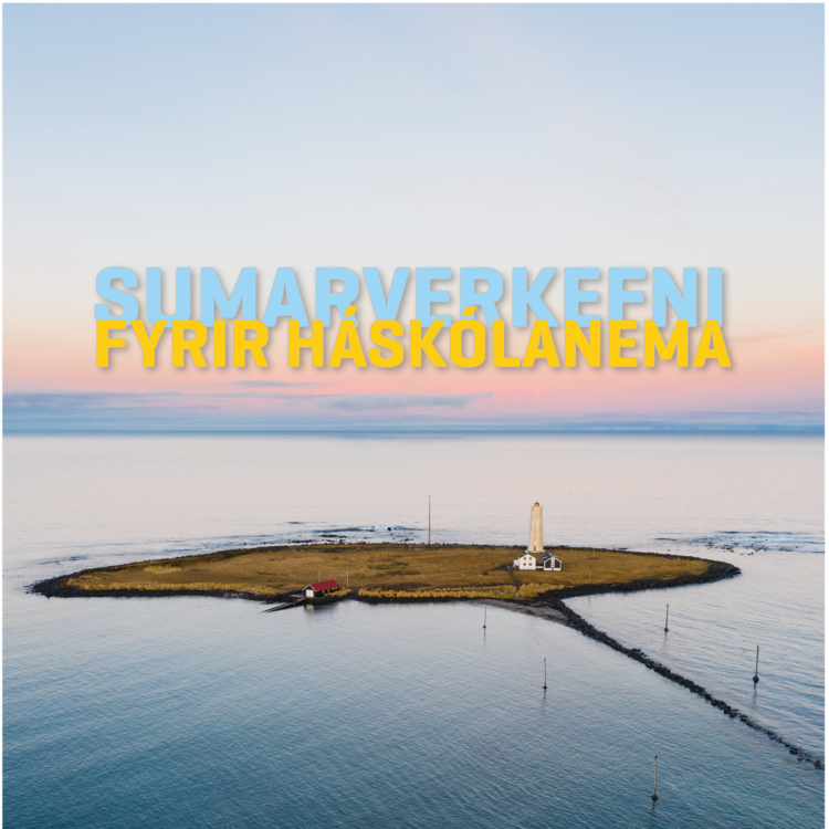 Mynd-sumarverkefni-2020